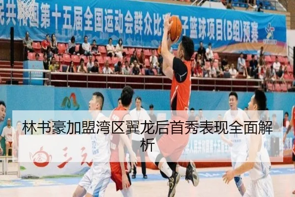 林书豪加盟湾区翼龙后首秀表现全面解析